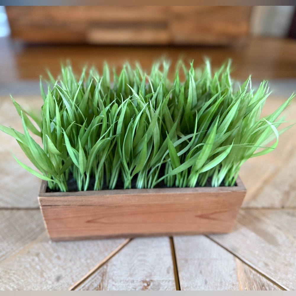 Faux Grass Plant Decor in Wooden Planter
